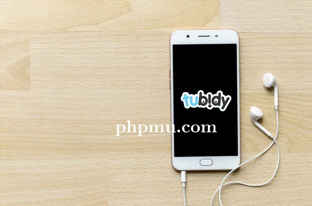 Alasan Mengapa Tubidy Cocok Buat Download Lagu Hits
